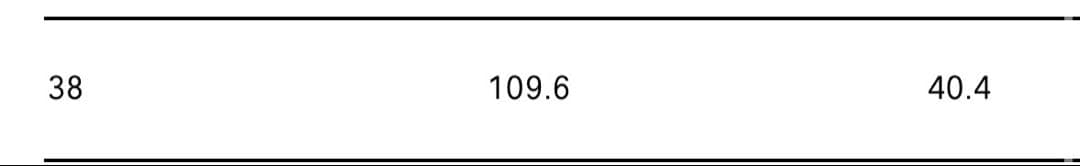 LOEWE ロエベ アナグラム バレルデニム 38