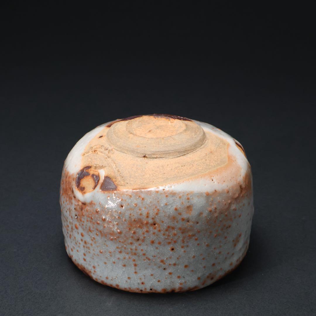 【最終価格】抹茶碗　鼠志野亀の絵　月形那比古　夏至亀　共箱　R1424お14