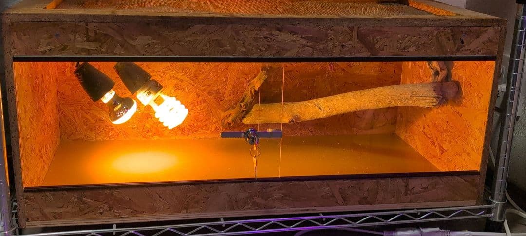 中型爬虫類飼育ケージ ランプステー、登り木付き