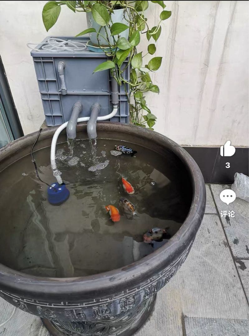 お任せ高性能濾過材2段付き　池水槽用万能フィルター外部式濾過器装置オーバーフロー