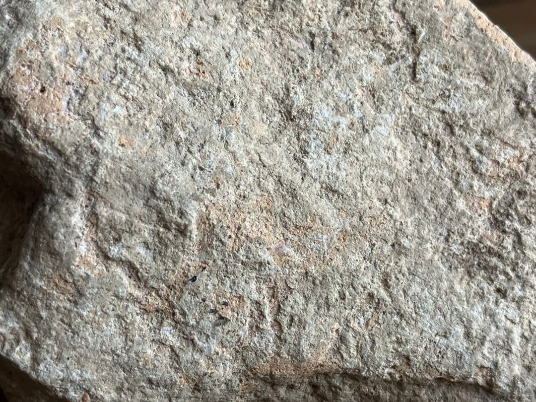 【美しい、、古代中国の羊像 新石器時代後期頃 前3000～2000年】骨董発掘