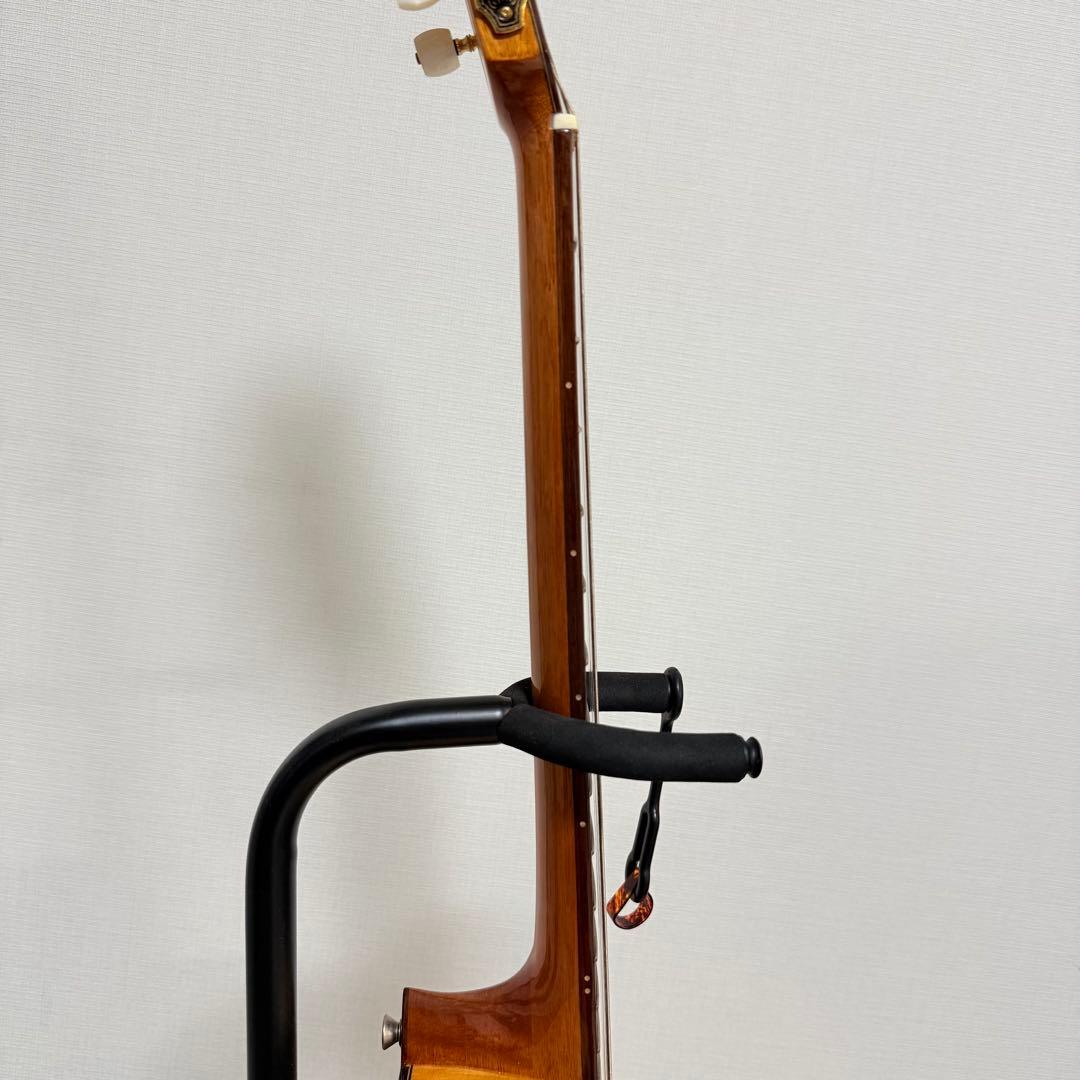 極美品　エレガット　Aria A-58CWE/M 薄胴