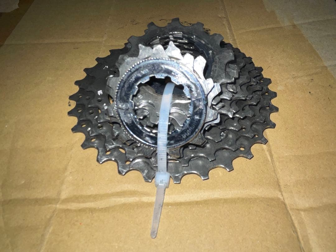 さかなさん 専用