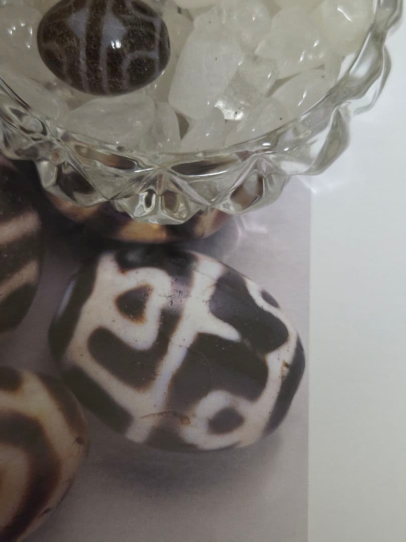 052　天珠　楕円形　虎牙蓮花天珠　dzibeads！