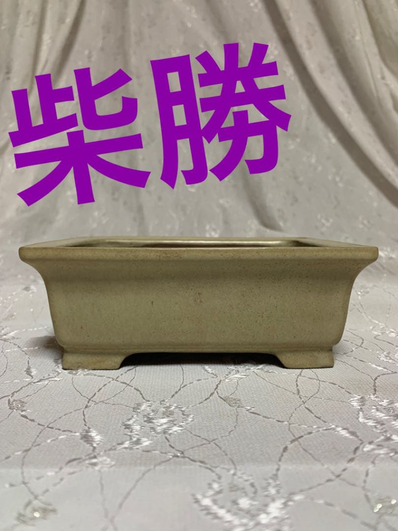 柴勝　盆栽鉢　長方