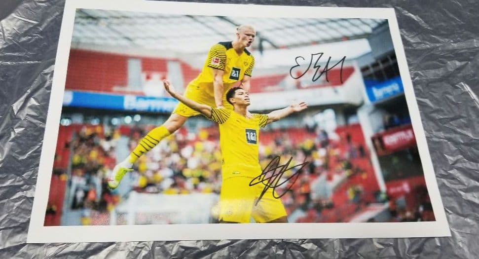 ハーランド　ベリンガム　直筆サイン　普通紙