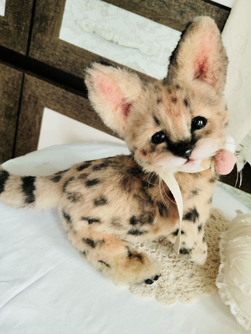 生後２ヶ月♡ベビーサーバルキャット♡アートドール♡ぬいぐるみ♡子猫ちゃん♡