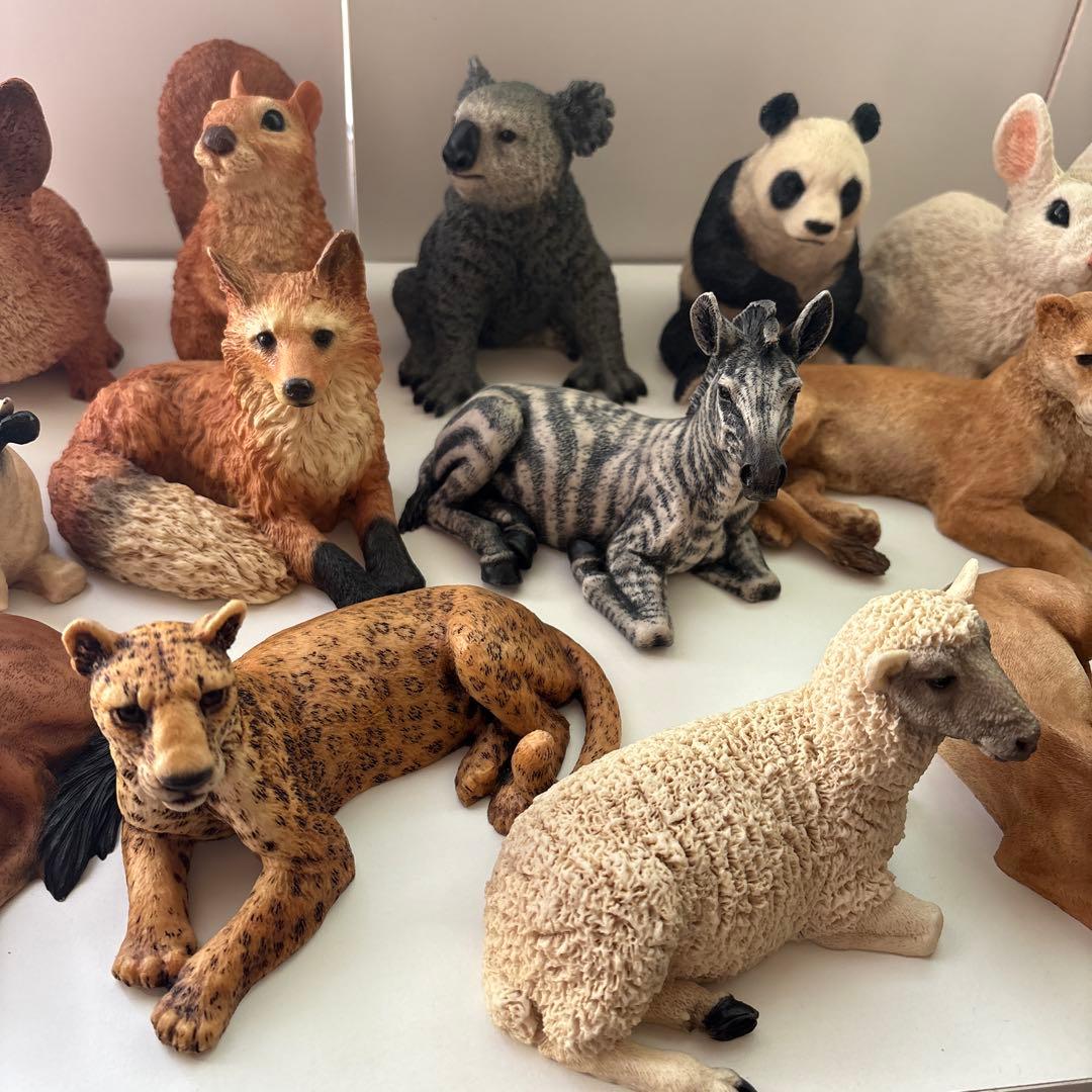 Castagna カスターニャ　20体