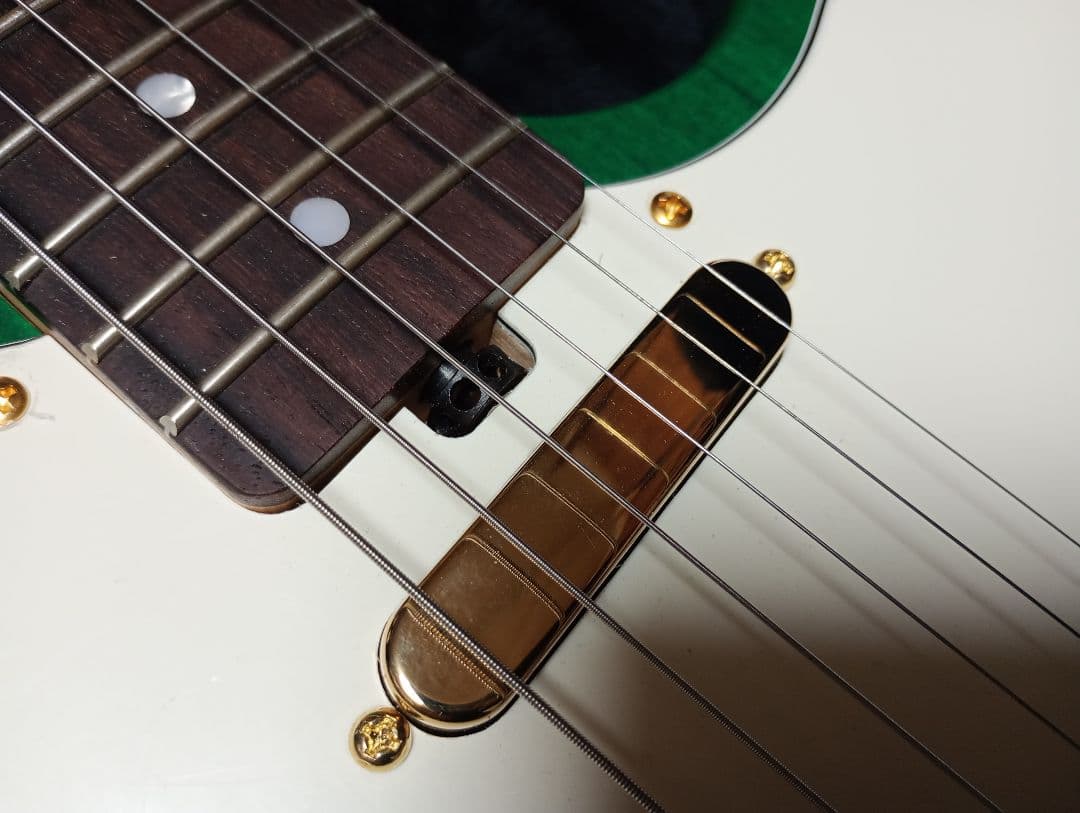 m*r様 テレマスター オフセットテレキャスター セミハードケース ジャズマスタ