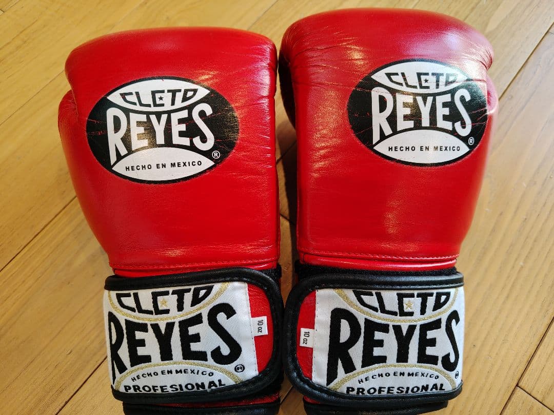 美品！レイジェス　グローブ　10オンス　レッド　赤　新品イサミ　ハーネス付き