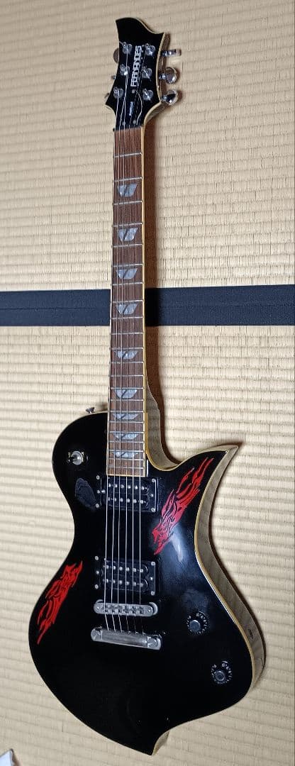 Fernandes・DiMazio＊Ravelle Standard