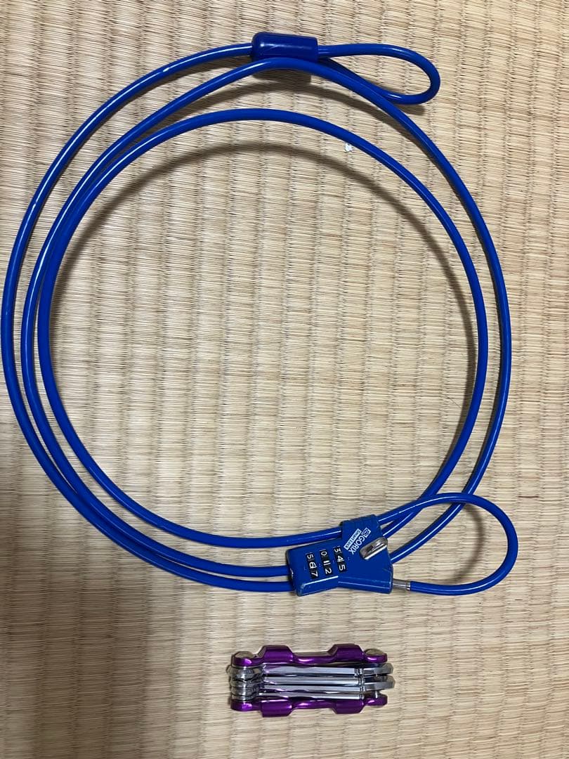 GIOS MIGNON青 ミニベロ20inch ミグノン アクセサリー付