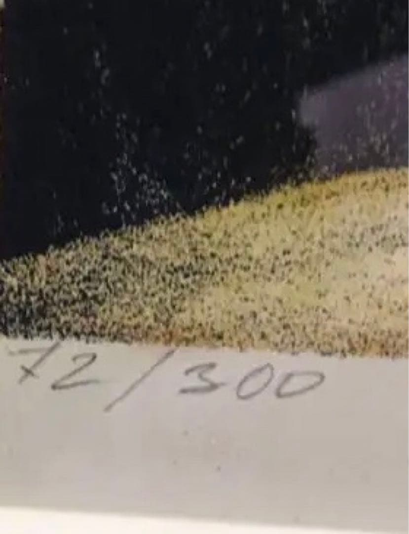 認定書⭐️マルクシャガール　町の上で