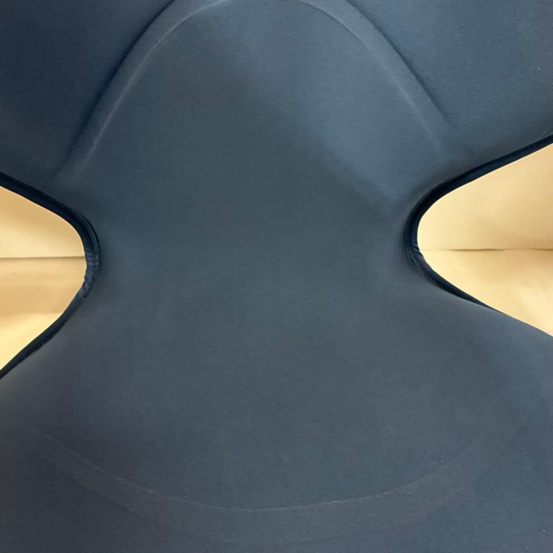 スタイルスマート MTG StyleSMART 骨盤矯正 姿勢矯正