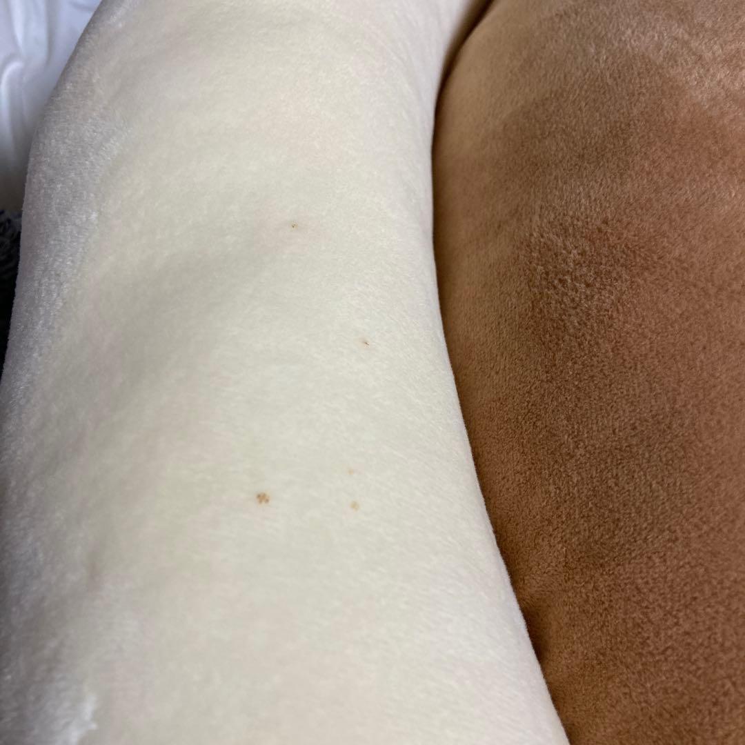 ドラえもんどら焼きクッション　特大