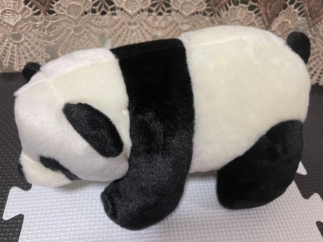 パンダ 名前: 盼盼 /パンパン PanPan