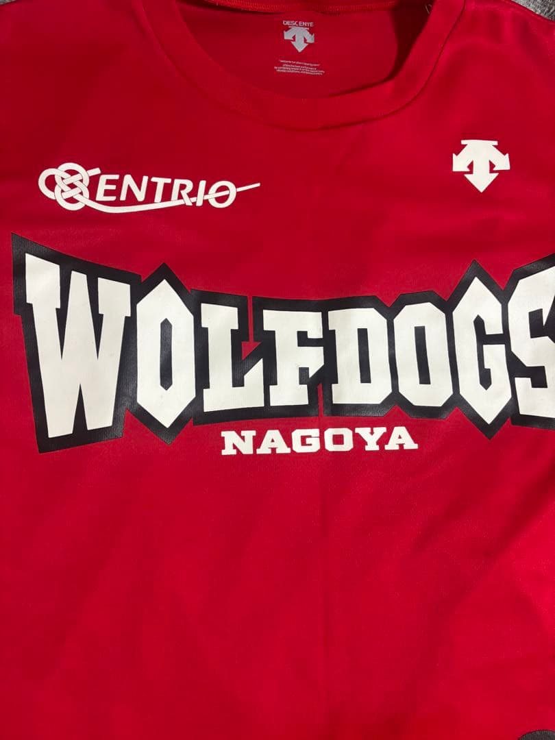 WOLFDOGS NAGOYA シャツ レッド