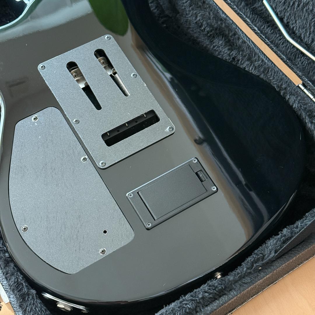 Fernandes APG-DLX JPC フルモードサスティナー 24フレット