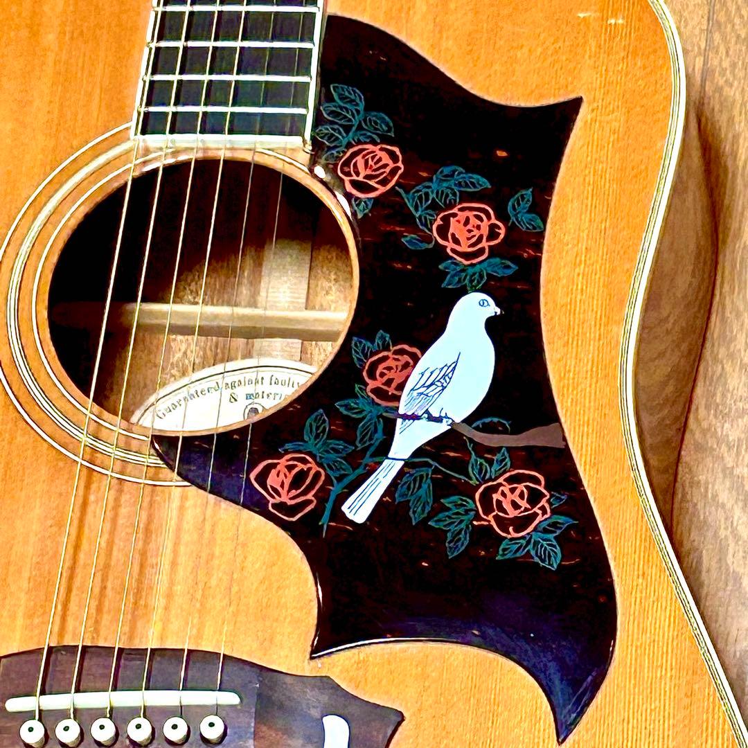 【ギブソン・ダヴモデル】モーリス WD-25N ☆ ビビリ音無し・音色良好！