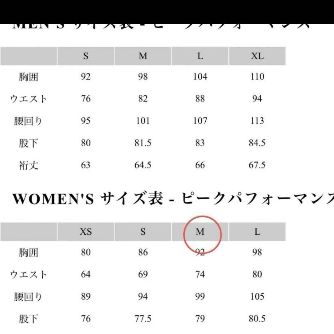 最終ピークパフォーマンス　スキー　パンツ　中綿入り　アニマパンツ　レディース　L