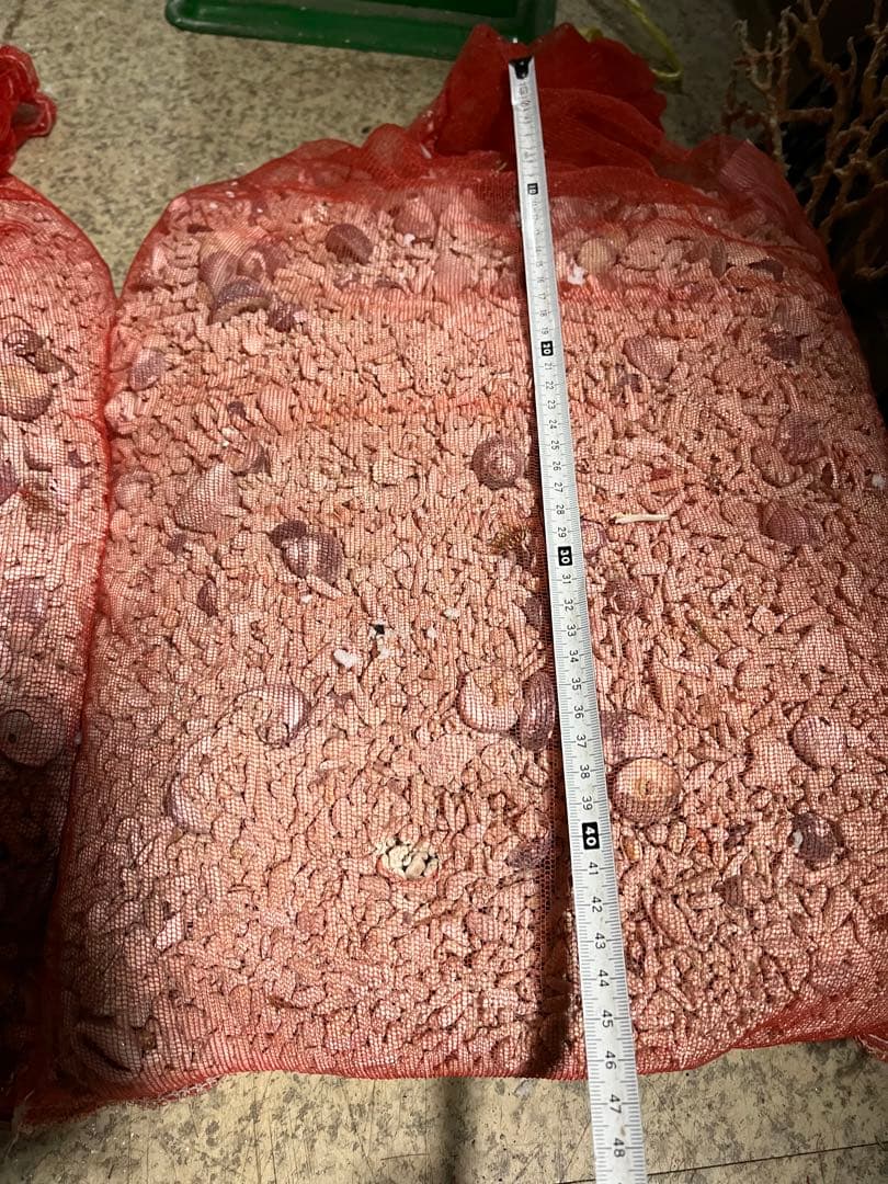 サンゴ砂、海水魚底砂、海水水槽濾過材、サンゴ米粒大、12キロサンゴ砂