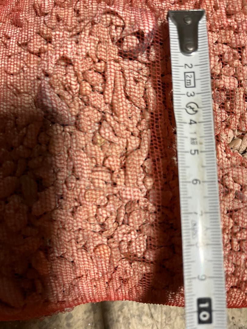 サンゴ砂、海水魚底砂、海水水槽濾過材、サンゴ米粒大、12キロサンゴ砂