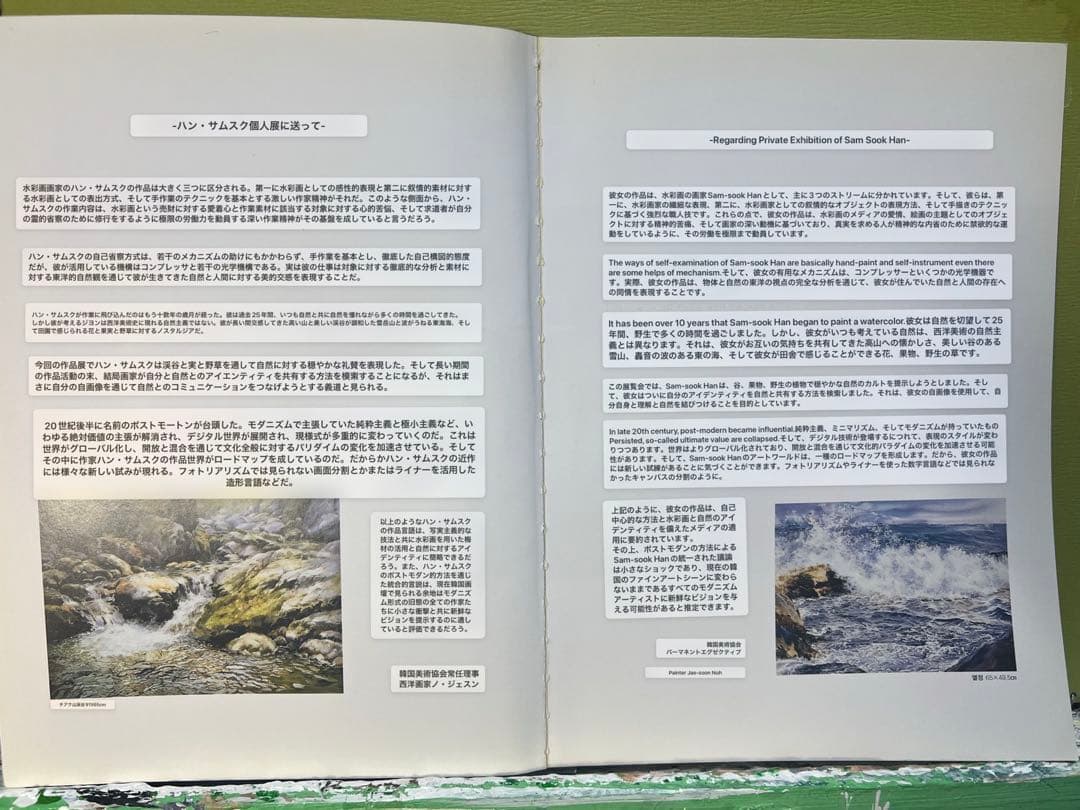 Hａn S am Ｓook 韓国女流作家、真作。 波うねる東海岸。