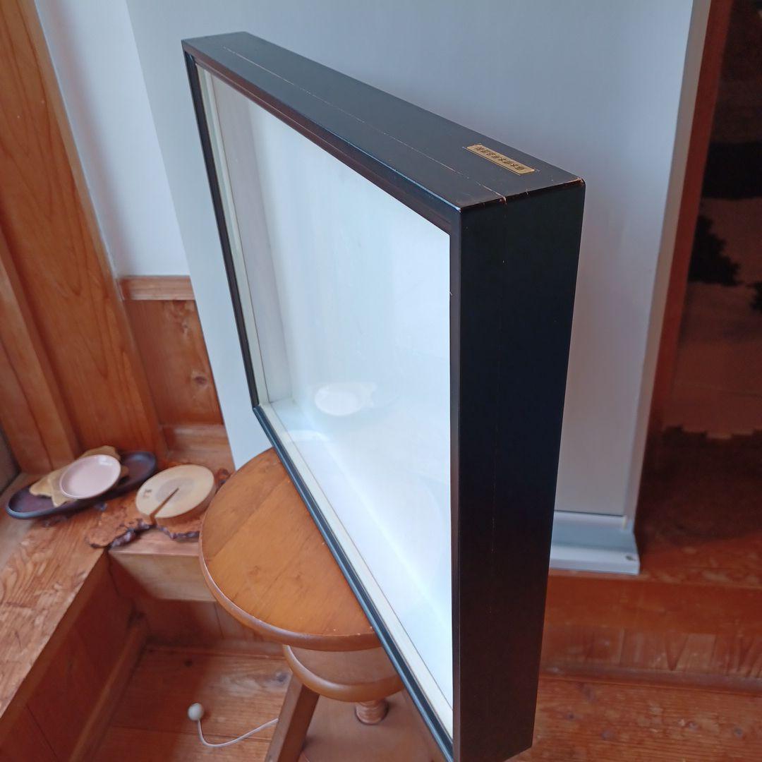 標本箱　ドイツ箱大型　2個セット