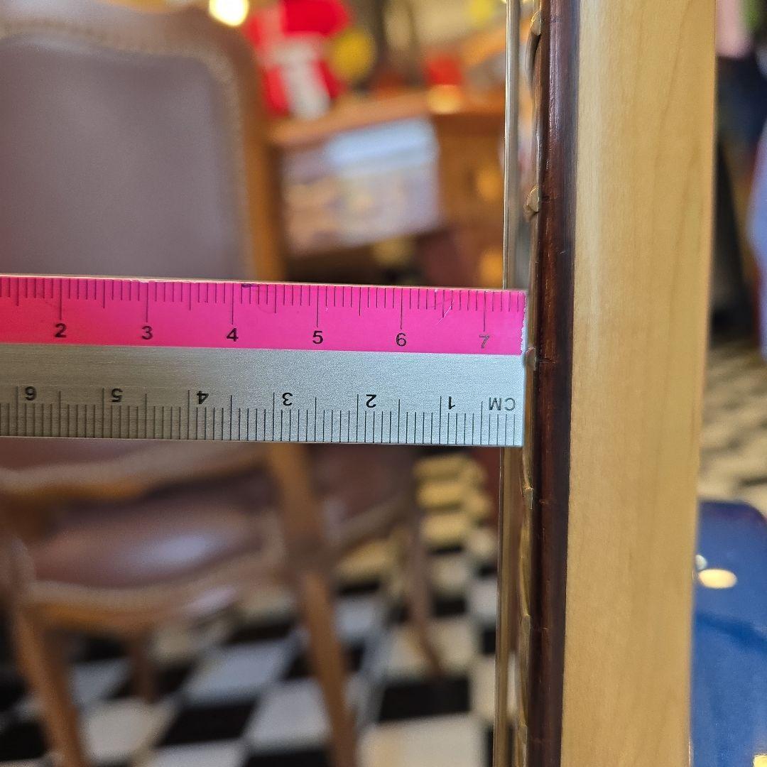 Pignose PGG-200 アンプ内蔵 ミニギター 訳あり　ピグノーズ