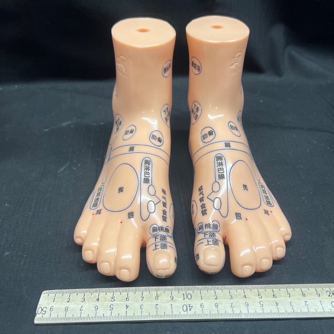 〇Od54 未使用保管品 鍼 ツボ モデル 手 耳 足 3点まとめ