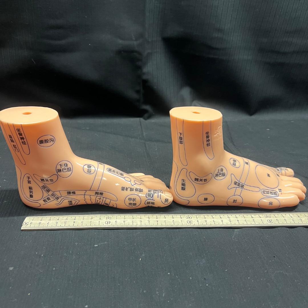 〇Od54 未使用保管品 鍼 ツボ モデル 手 耳 足 3点まとめ