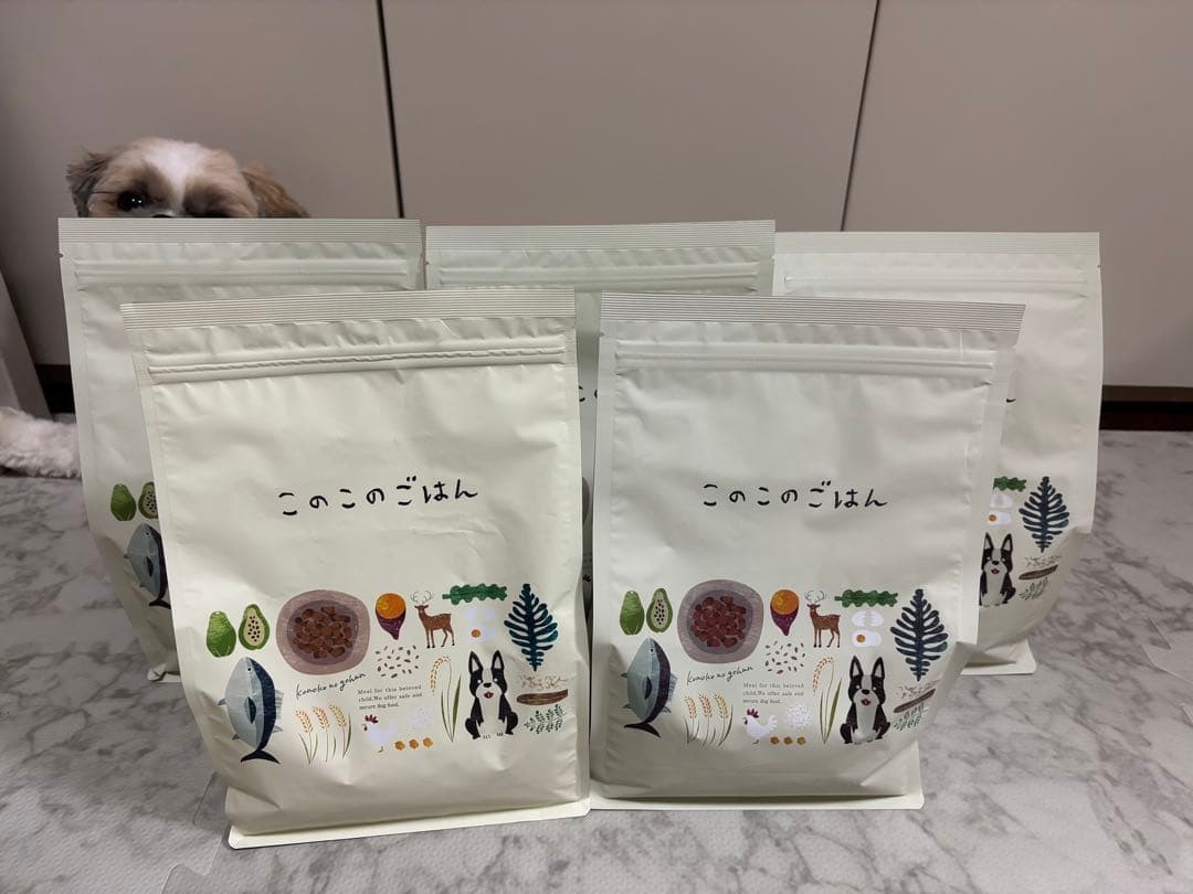 ＼定価価格！3,850円／★コノコトトモニ★このこのごはん(ドライフード)