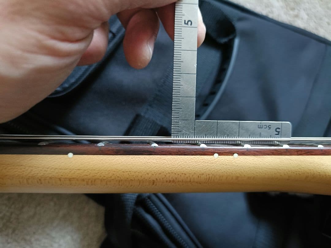 ギター FgN BCST10RBD BLK basic classic