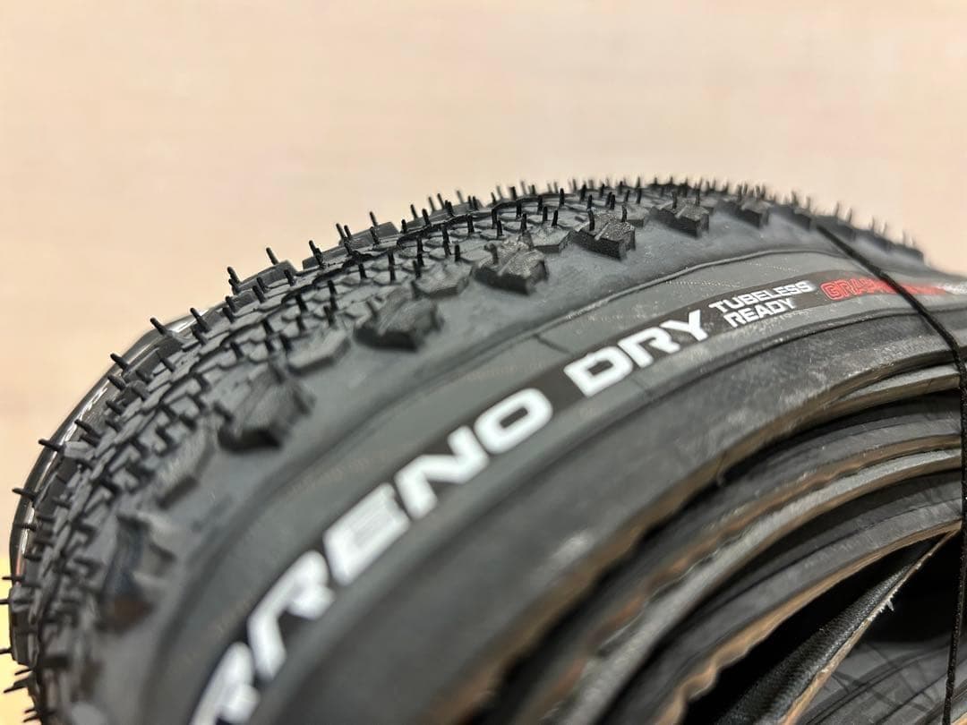 【新品・未使用品】TERRENO DRY 700×38c 2本セット