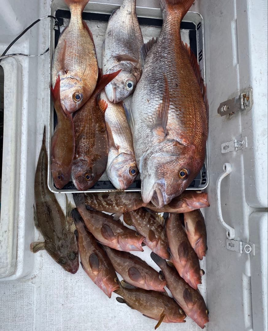 コスパ最強で釣果抜群！★エビ針ジグ★魚釣り 船釣り 仕掛け ★送料無料★