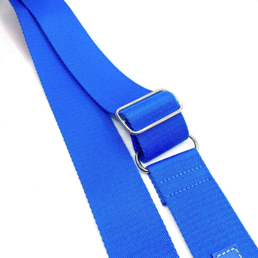 極美品✨GOYARD ゴヤール　ショルダーストラップ　ブルー　シルバー　ロゴ有り