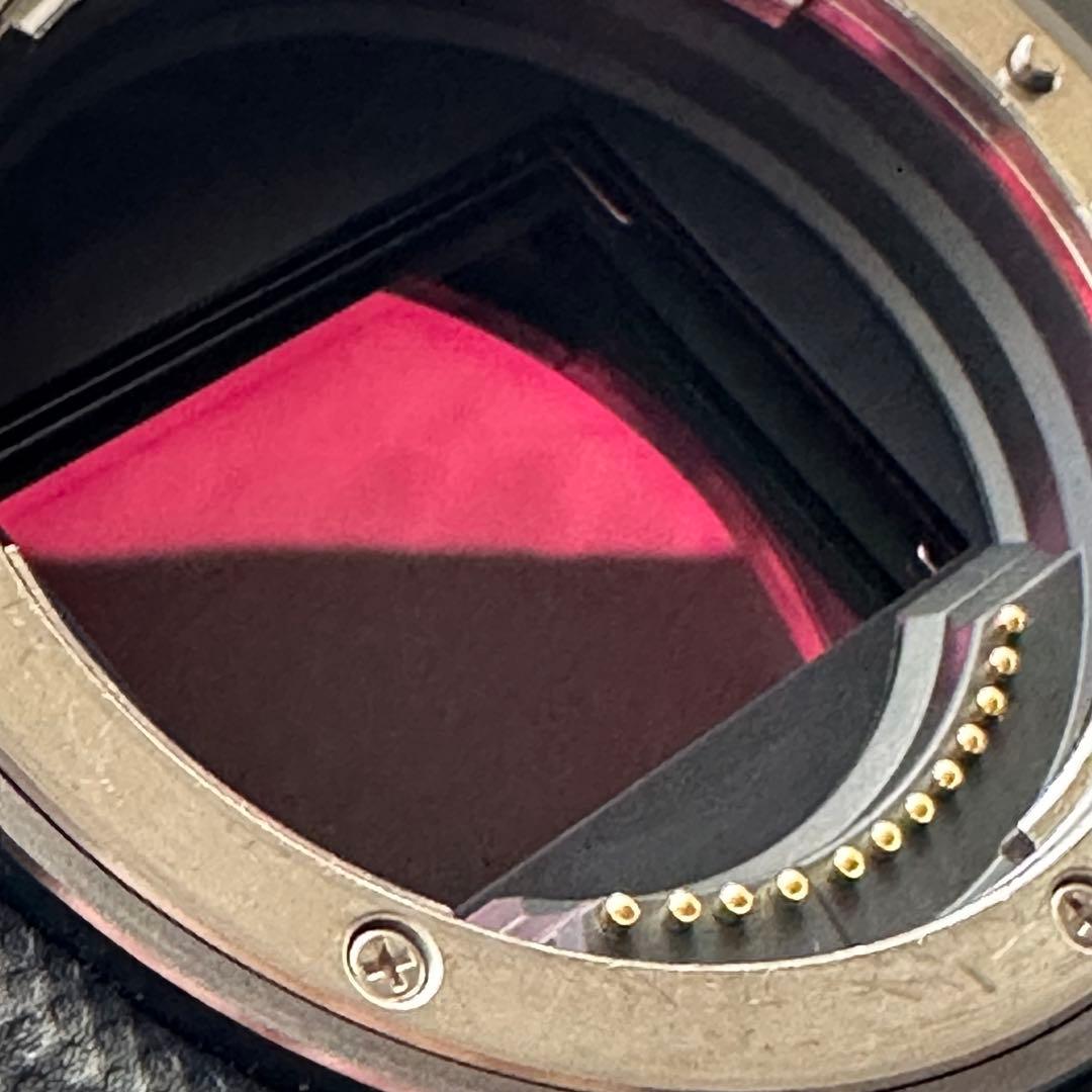 Canon EOS R3 ミラーレスカメラ