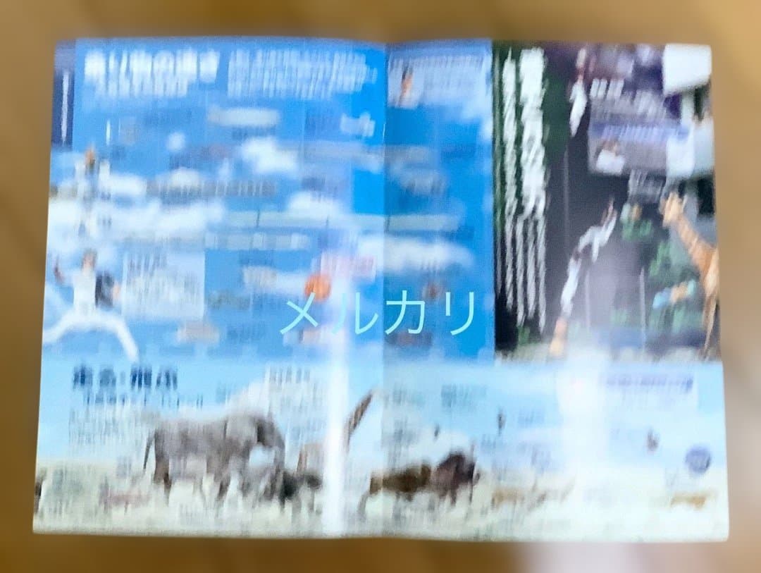 《新品・未使用・未開封》大谷翔平 選手　日ハム　応援歌入り　ユニフォーム　限定