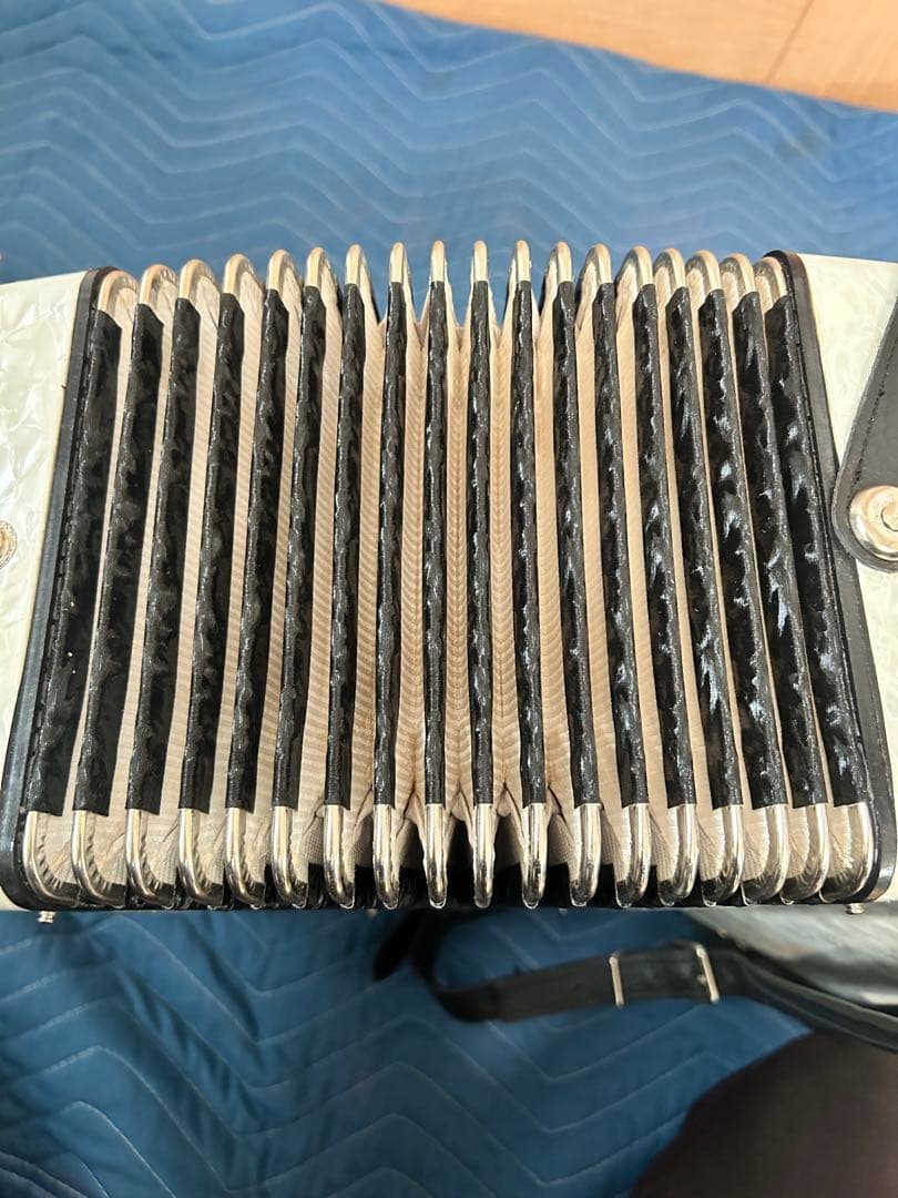 TOMBO アコーディオン J261 ホワイト 希少