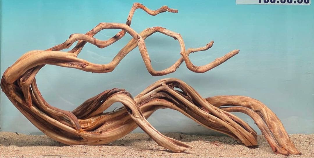 流木 アートピース 特大 82×25×44cm｜一点物