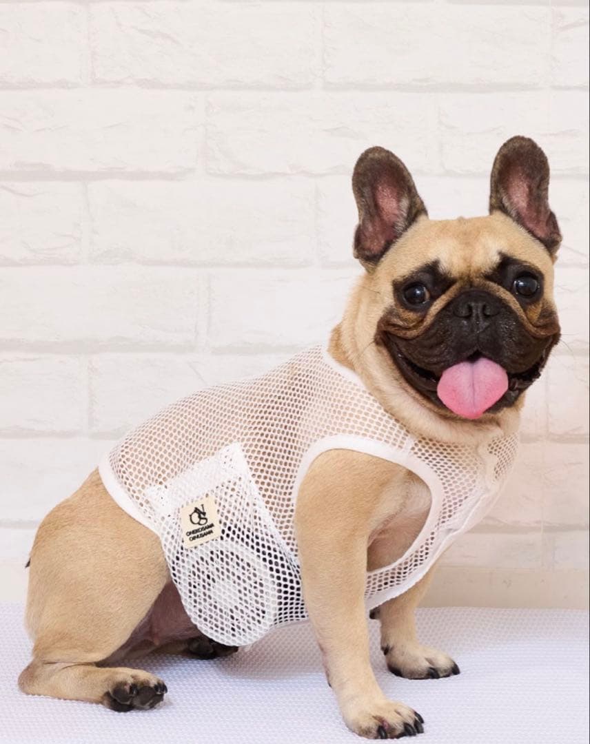 日本製 獣医師監修 空調ペット服