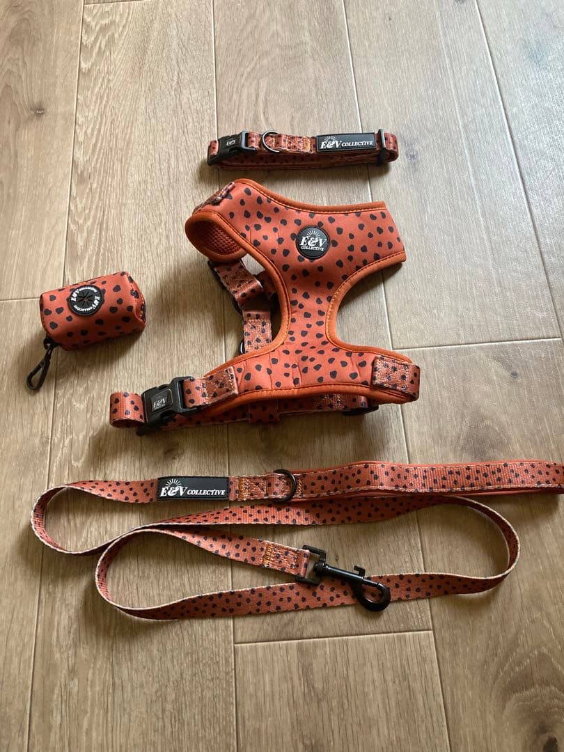 【イギリス製】中型、大型犬　カラー、ハーネス、リード、プーバック4点