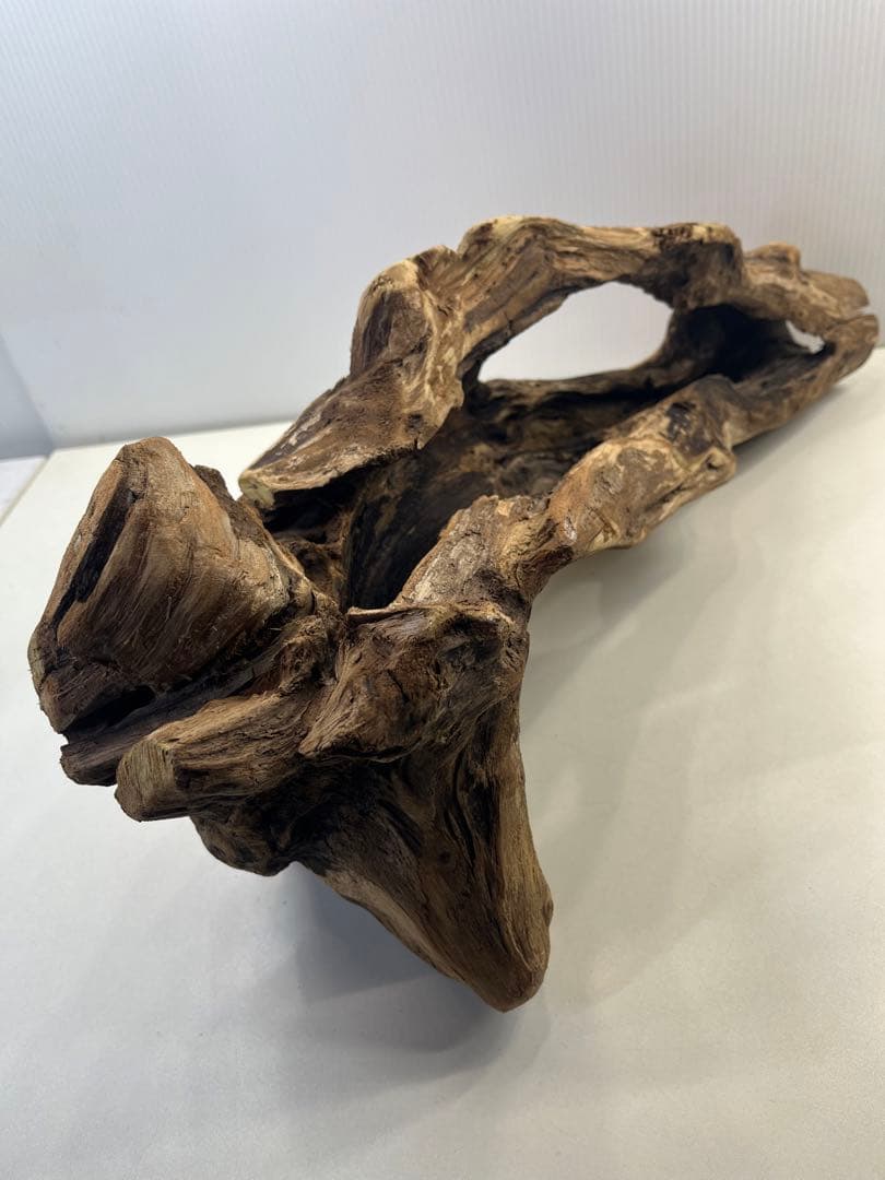 R63アク抜き済み流木 爬虫類シェルター 登り木 インテリア 生け花