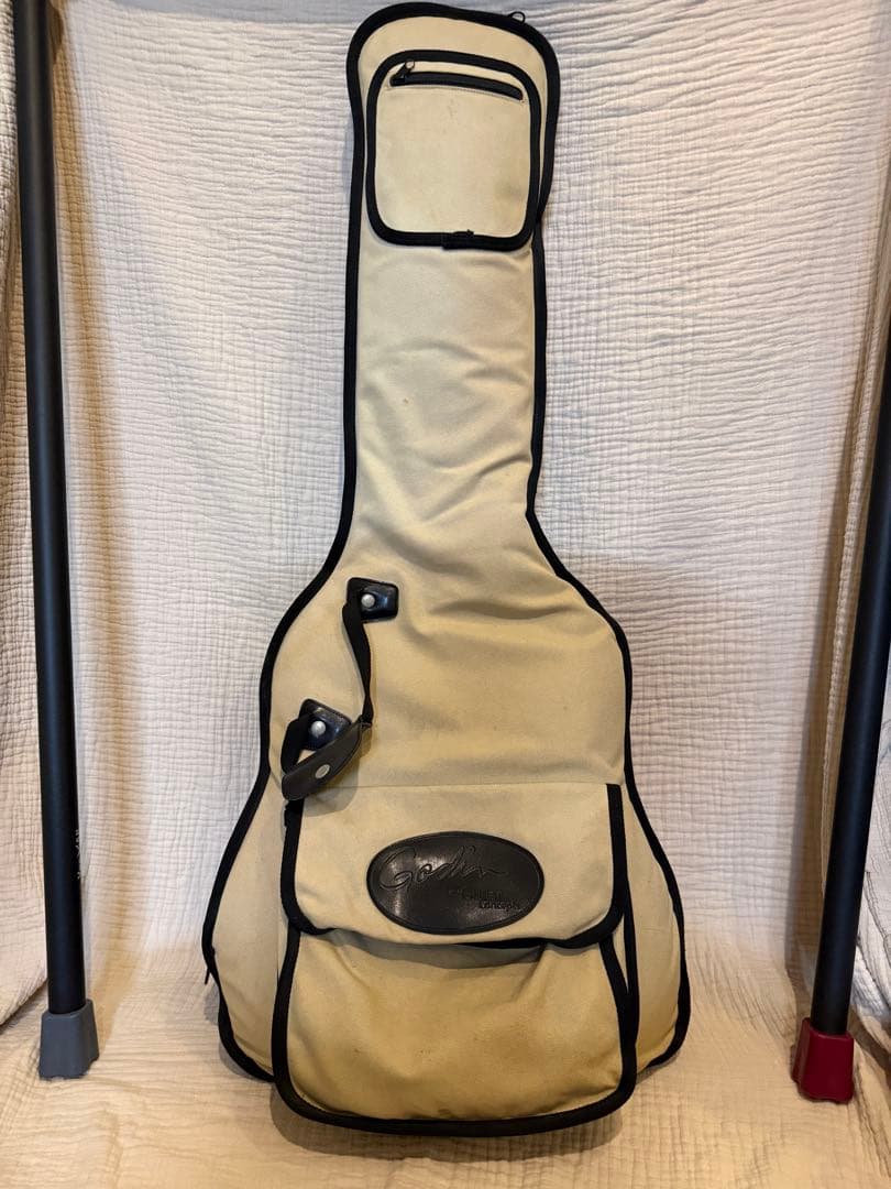 ギター Godin ACS Slim 10th Anniversary 100/100