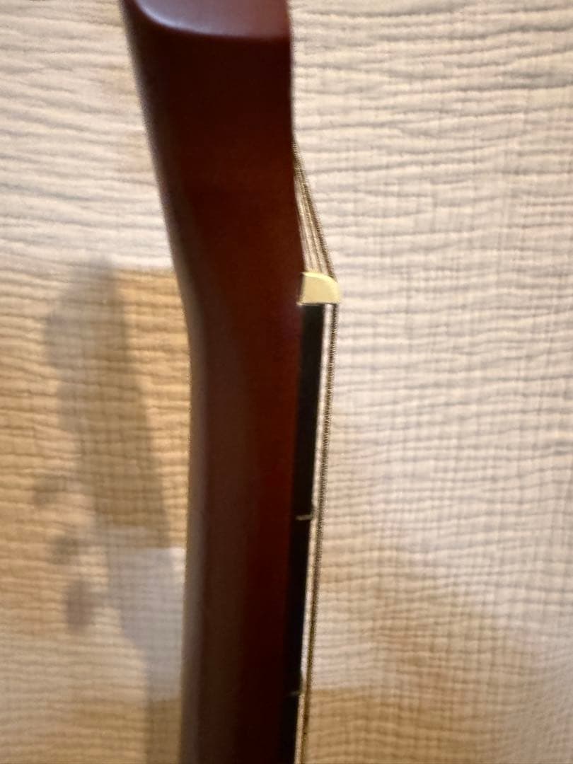 ギター Godin ACS Slim 10th Anniversary 100/100