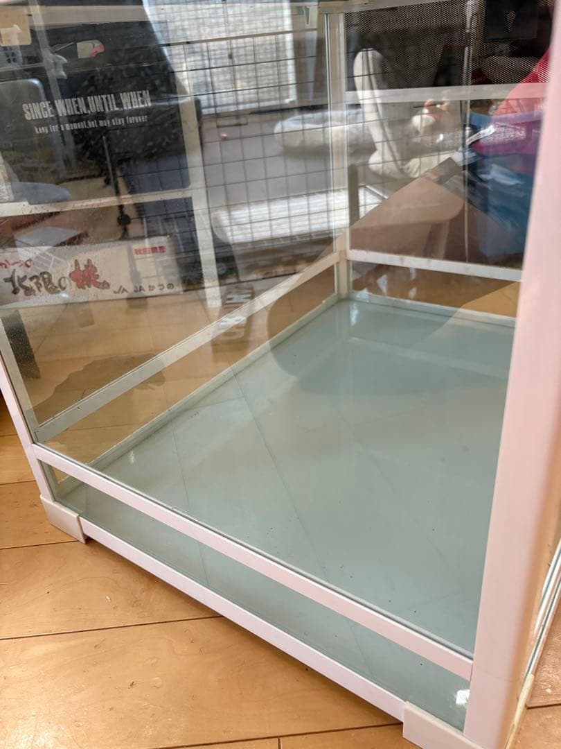 REPTI WILD 6045 爬虫類 ゲージ オマケ付き