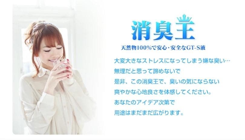 消臭王GT-S 液体・無臭 １０リットル これぞ本物 あらゆる悪臭を完全分解