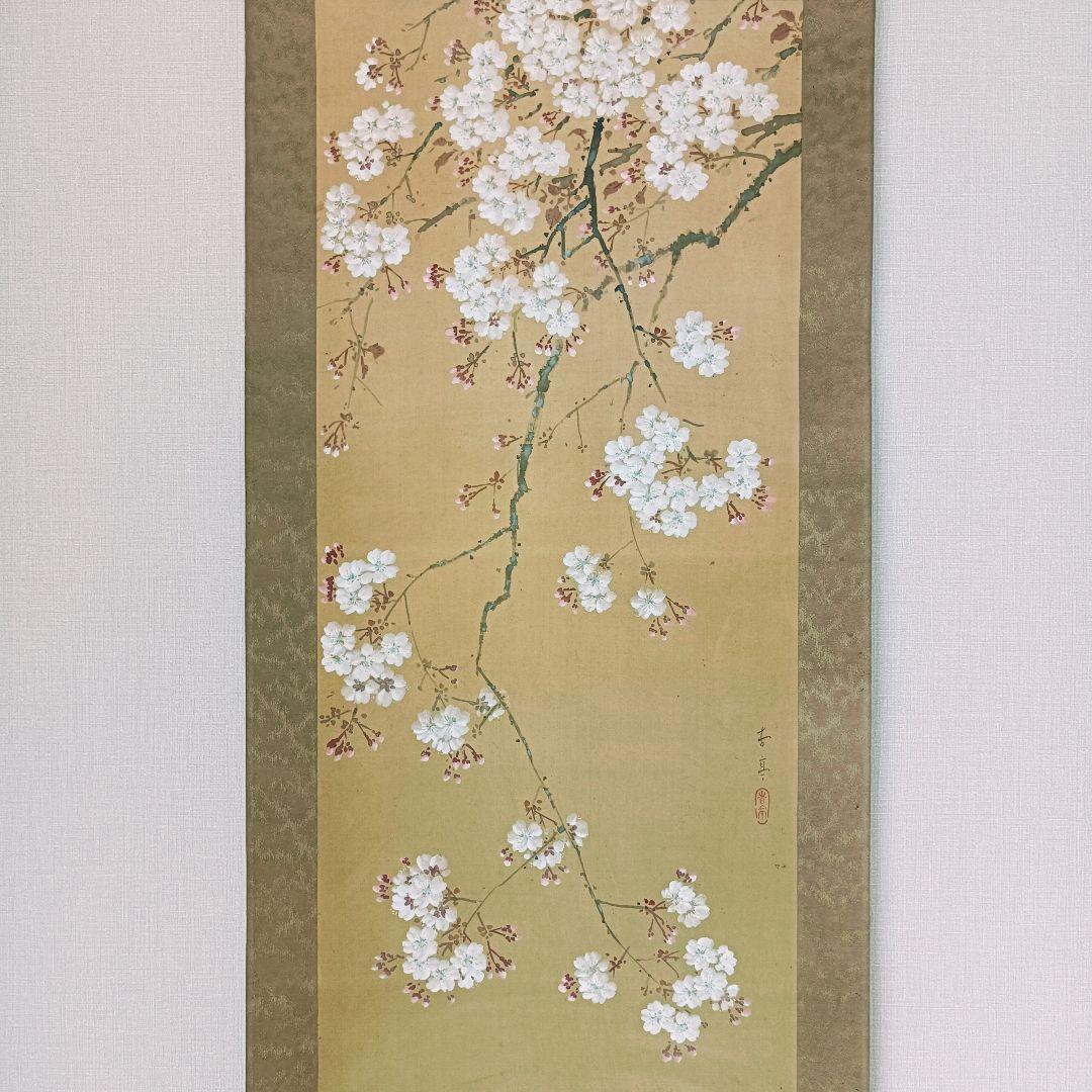 Yocchan 松田杏亭 掛軸 開運 縁起物 おもてなし 鯉 桜 日本美術