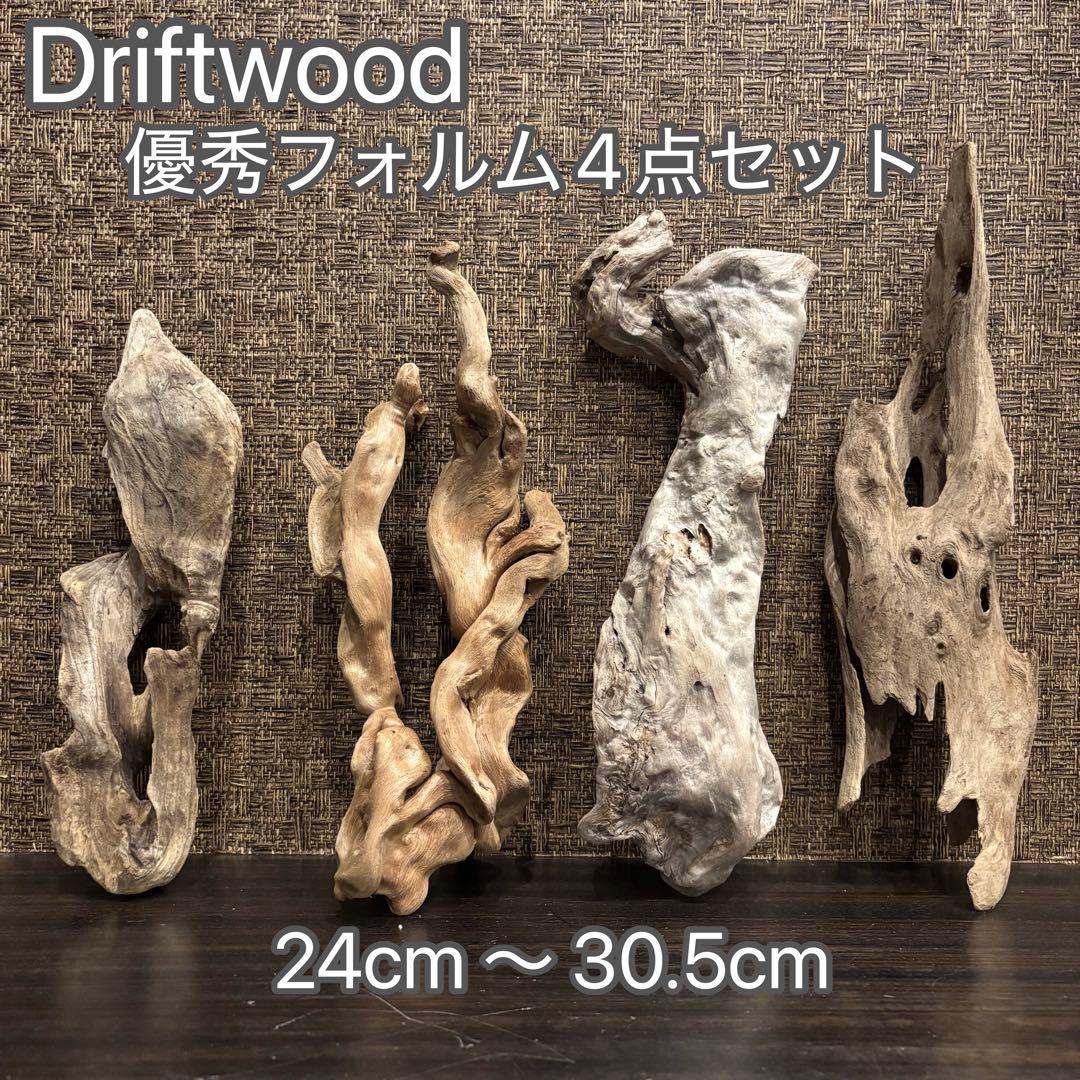 流木 優秀フォルム４本セット