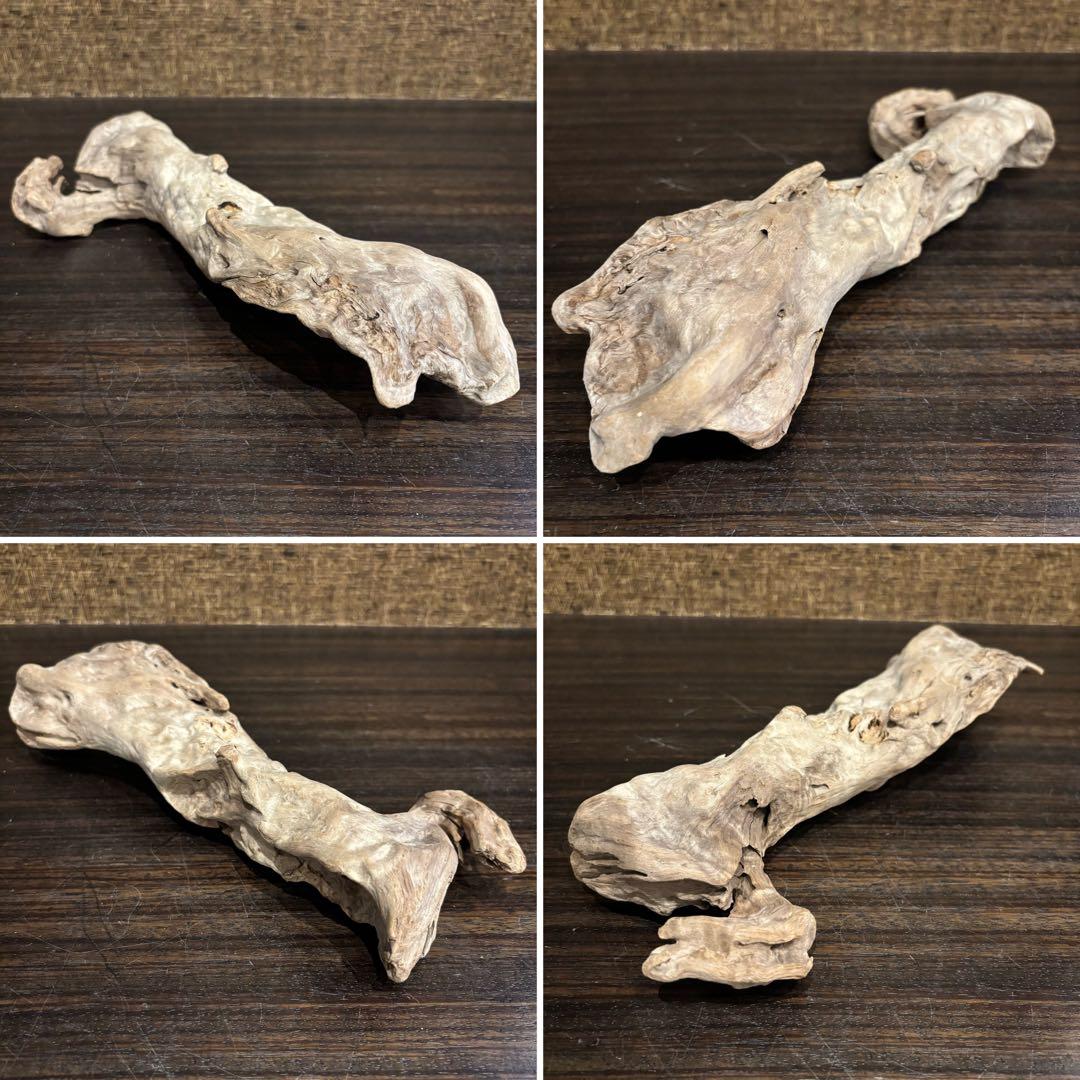 流木 優秀フォルム４本セット